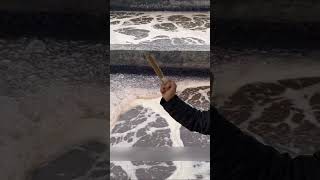 Oddly Satisfying Wastewater Purification Process 🧪✨#shorts #shortvideo #viralvideo#watertreatment