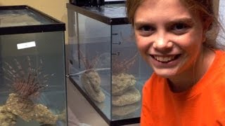 Sixth grader credited with scientific breakthrough on lionfish