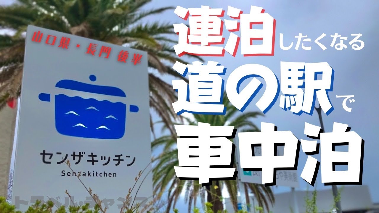 【猫と車中泊】一日中過ごせる人気の道の駅！海鮮BBQでベロベロ【センザキッチン】