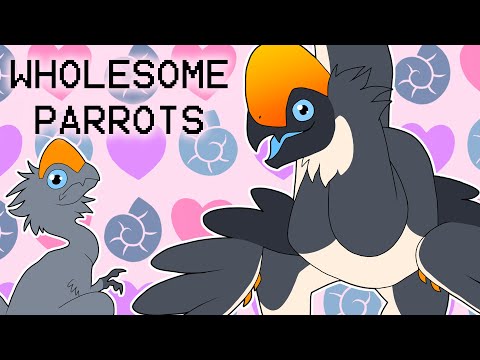 wholesome-parrots-animation-meme