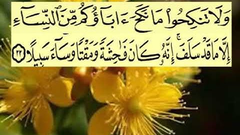 سورة النساء اية ٢٢ جمال القرش