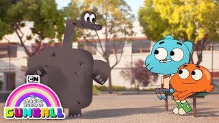 Crazy School Day | Gumball | Cartoon Network