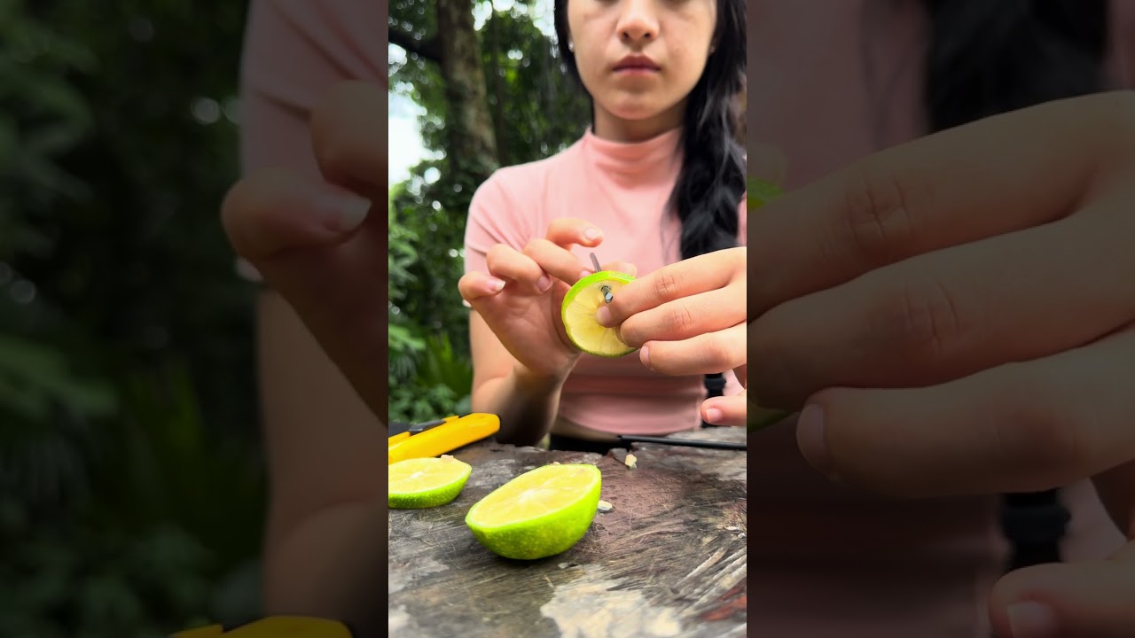 The simplest way to squeeze lemon juice 