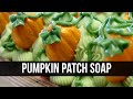 Pumpkin Patch Soap | Royalty Soaps