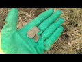 Поиск монет в лесу. Металлодетектор