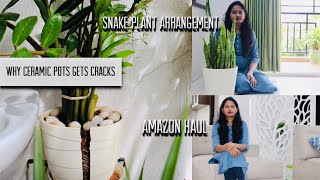 Why Ceramic Pots Gets Cracks | Amazon Haul | Snake Plant Arrangement | myself sailaja