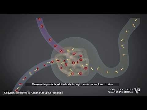 فيديو: ما الفرق بين غسيل الكلى و غسيل الكلى؟