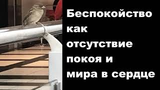 МЕТОД СОЛОВЬЯ: КАК ПОБЕДИТЬ БЕСПОКОЙСТВО, СТРАХ И ТРЕВОГУ?