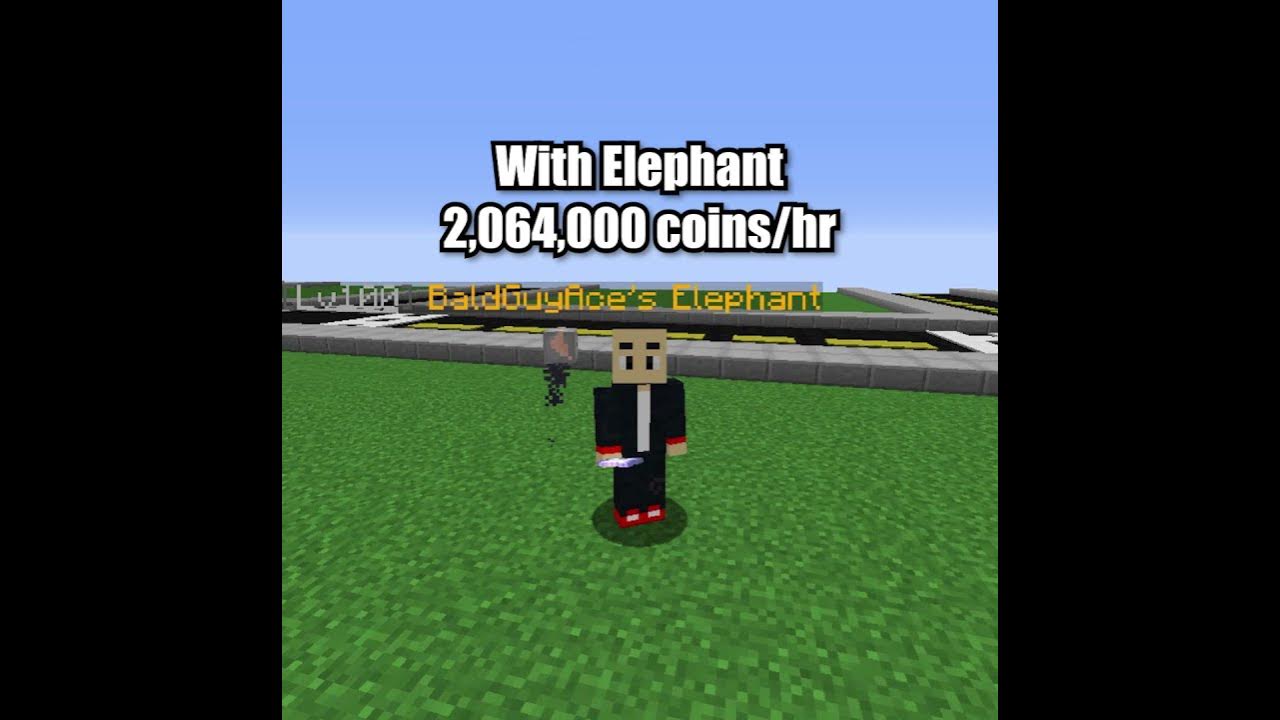 Is the Elephant Pet Worth Buying? - Hypixel Skyblock - YouTube