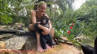 How to take care of a newborn baby CHIMPANZEE