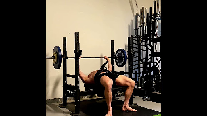 How Much Protein Do We Need To Gain Muscle?