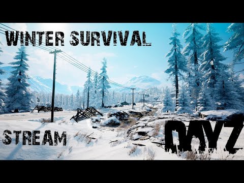 ДЕЙЗ СТРИМ / ПВЕ СЕРВЕР / 2K / HARDCORE / PVP / PVE / Dayz stream #dayz #pvpserver