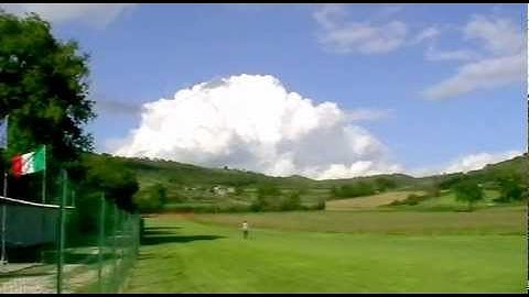 TIGER 60 Phoenixmodels With ASP FS .61AR