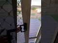Patiolink pet door installed with adaptor panel