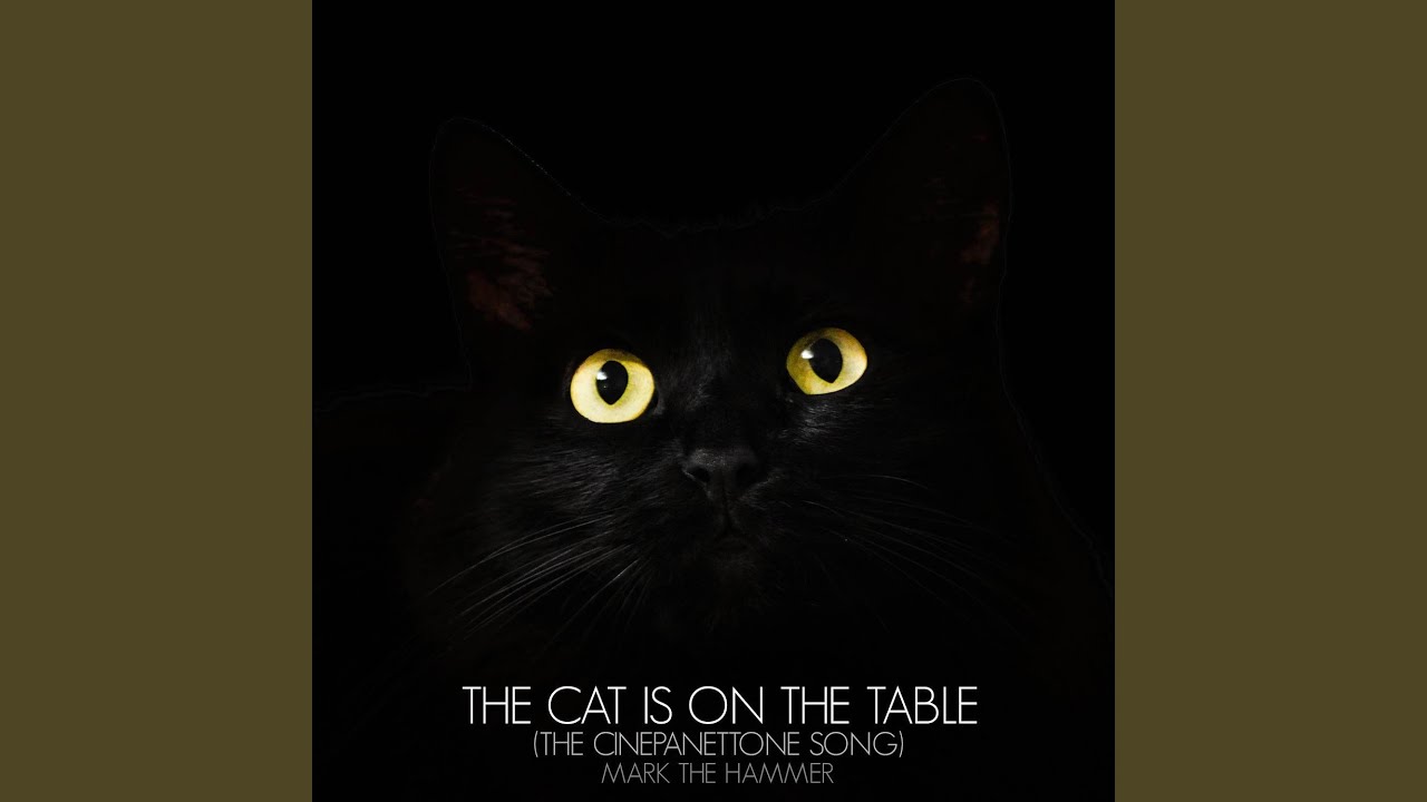 cat on table