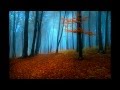 Capture de la vidéo Strawbs - Autumn