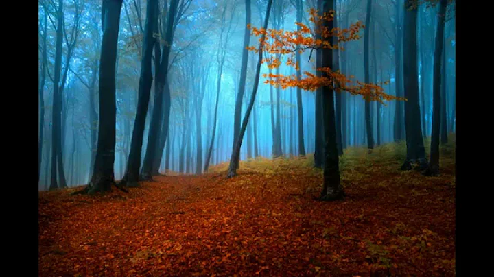 Strawbs - Autumn