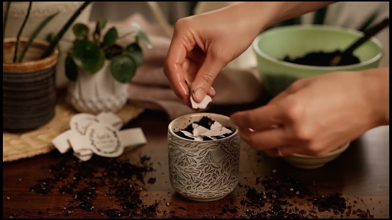 Preview of Hyggelight- The Growing Candle Growing Candle Video