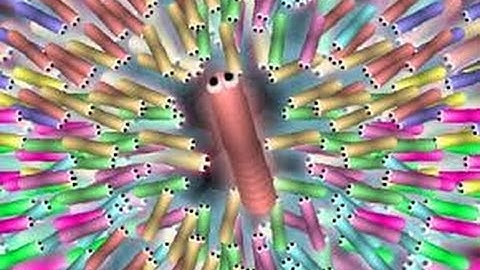 Slither.io HACK 200 Bots Gameplay - BIGGEST SNAKE IN 30 SECONDS!