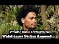 Walaloo Haala Yeero Irrattii Walallessaa Sadam Ammeetin January 17 2026 Subscribe Like Godhaa 