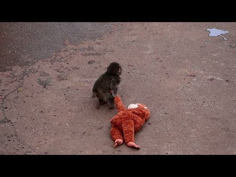 ������ ������� ��� ����� ������� ������� ����� ����� ������ ������ ����
 - نشر قبل 11 دقيقة