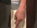 سبب نجاح البوليش او فشله