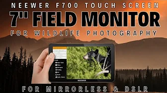 NEEWER F700 7" Camera Field Touch Screen Monitor Wildlife Photography & Filming Review in the Field