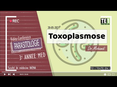 Video: Toxoplasmose - årsager, Symptomer, Diagnose Og Behandling