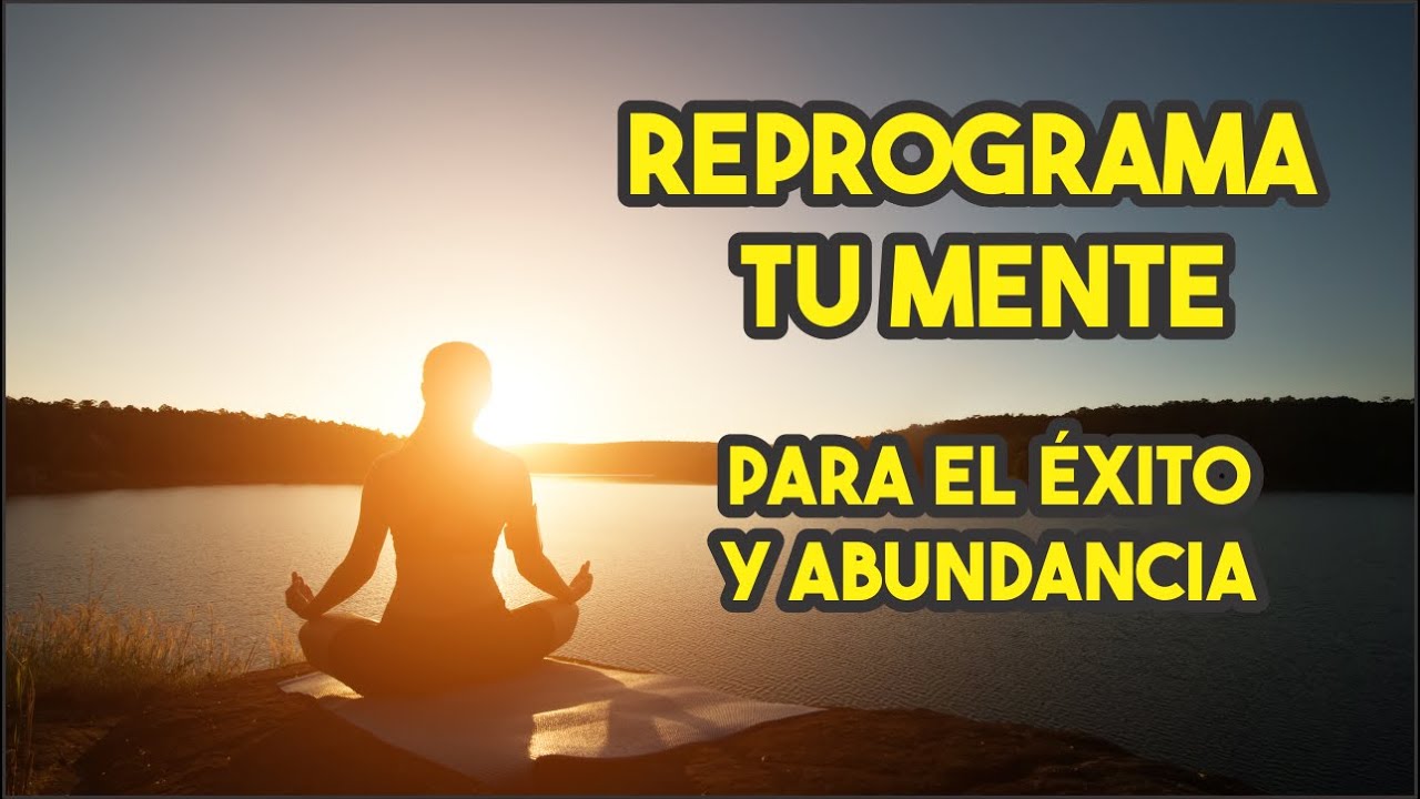 Reprograma tu mente para el éxito y la abundancia :El secreto de las ...