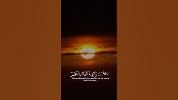 ( شريف مصطفى سورة يس ) اجمل حالات واتس اب قرآن الكريم