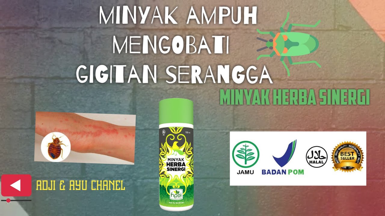Manfaat Minyak Herbal Sinergi (Hpai)AMPUH!!! 