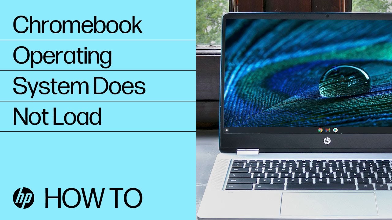 Chromebook Operating System Does Not Load | HP Chromebook |@HPSupport
