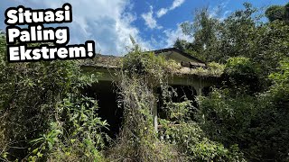HAMPIR DISERANG RATUSAN KELAWAR BERGAYUT DI SILING RUMAH INI..PALING EKSTREM SETAKAT INI