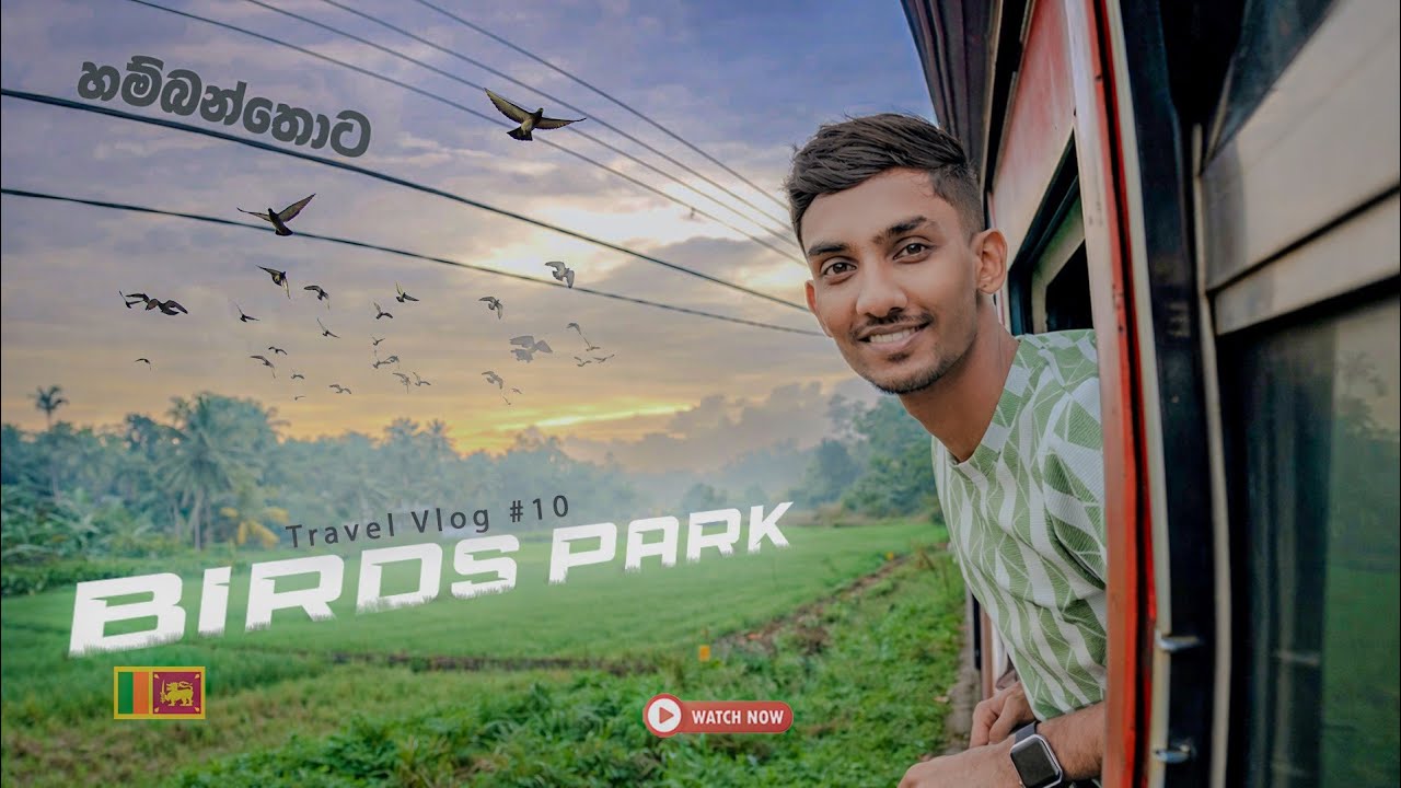 Rio movie එකේ ඉන්නෙත් මෙයාලමද...?┃Colorful Birds & Tropical Vibes at Hambantota Birds Park┃Vlog 10