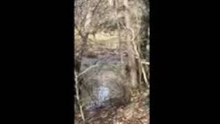 3lb tannerite explosion