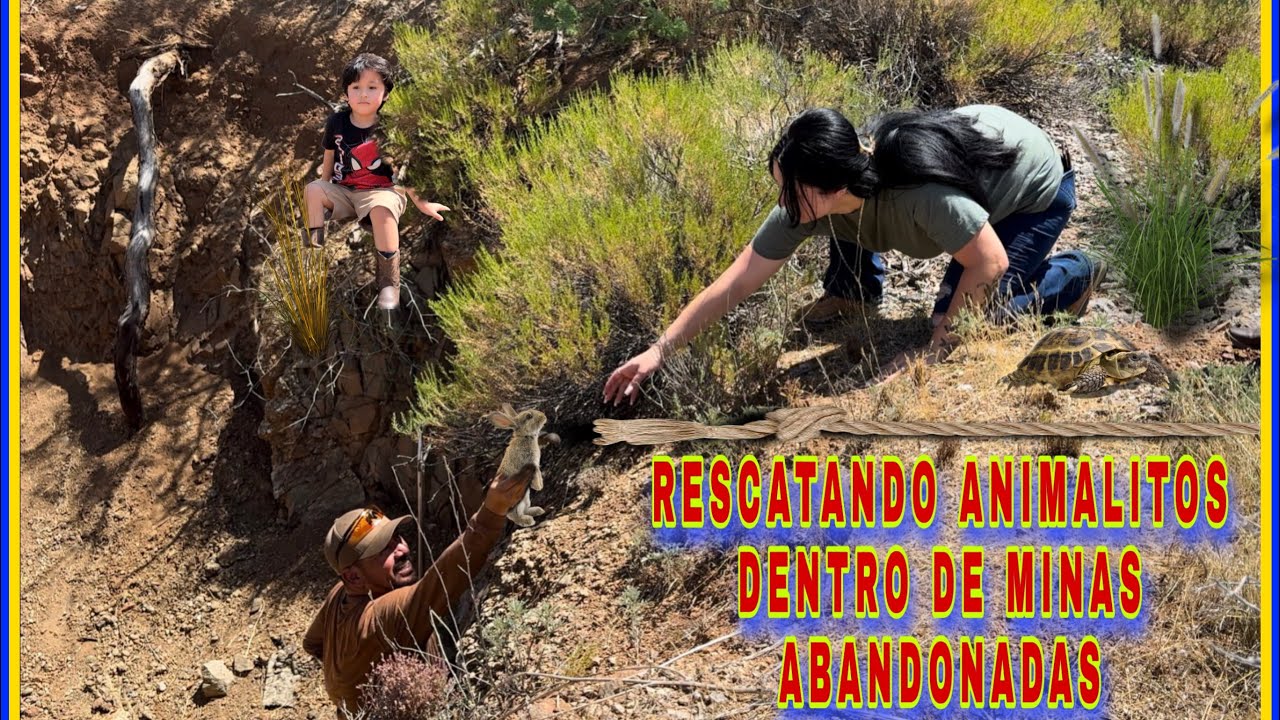 RESCATANDO ANIMALITOS DE LAS MINAS ABANDONADAS