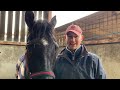 Yorkshire Wonder Horse - It Just Takes Time