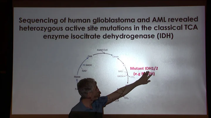 Metabolism Revisited - Josh Rabinowitz