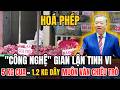 Tin Tức Thời Sự 24h: Mua 5 Kilogam Cua Biển Làm Quà, Mở Ra Có Tới 1,2 Kilogam Dây Buộc