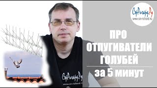 Отпугиватели голубей. Основные средства защиты. За 5 минут.