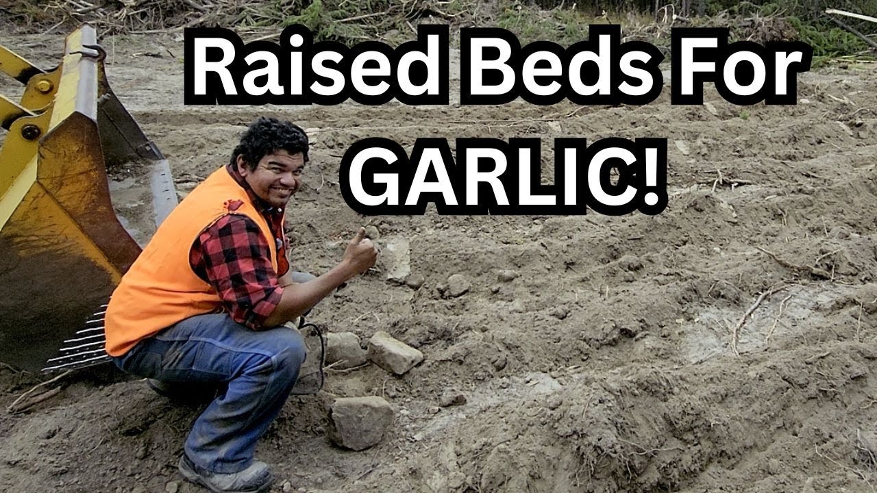Посмотрите, как мы строим высокие грядки для выращивания чеснока | Расширение фермы без подключен...