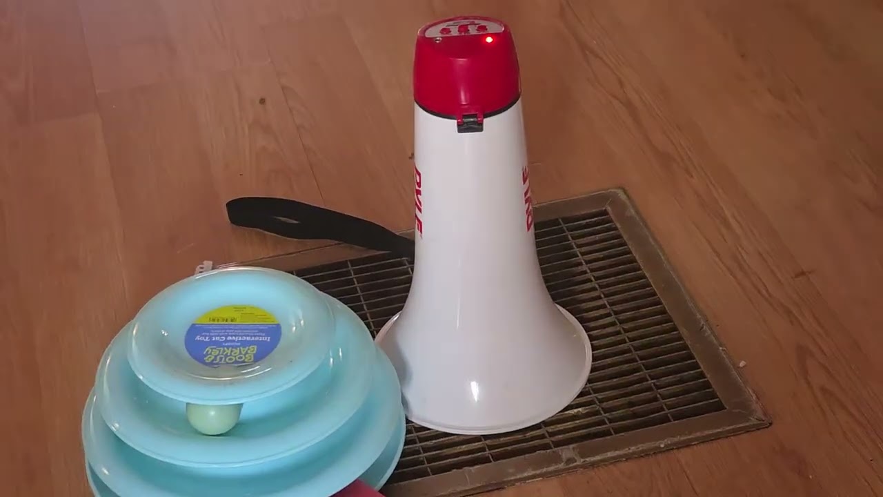 Happy late by 1 day valentine's day!! Pt 1