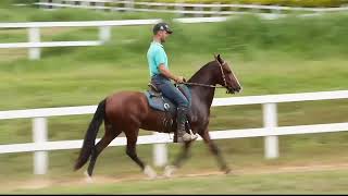 69 Oxalá Da Muralha De Pedra