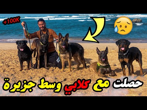 قضيت يوم مع كلابي وقعت كارتة حصلنا داخل أخطر جزيرة في البحر