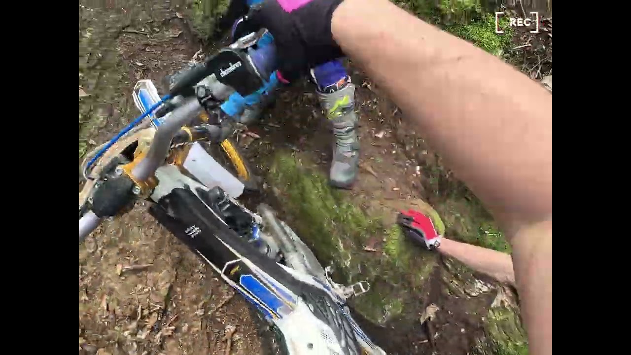 mulatrial della lessinia 2025