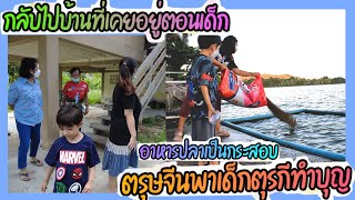 EP.244 ตรุษจีนพาเด็กตุรกีเที่ยวบ้านเก่าสมัยหม่ามี๊เด็กๆ ตอนเย็นพาทำบุญให้อาหารปลาครั้งแรกตื่นเต้นสุด