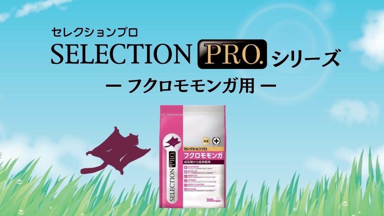 SUGAR GLIDER SELECTION PRO.｜ブランドサイト ― TOP