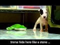 Come On-a My House - Rosemary Clooney -- with Pitt the mobstar