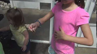Sasha's butterfly encounter at Lukas Nursery