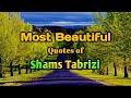 Most Beautiful Quotes of Shams Tabrizi (Best Quotes Ever by Shams Tabrizi) Whatsapp Status Quotes